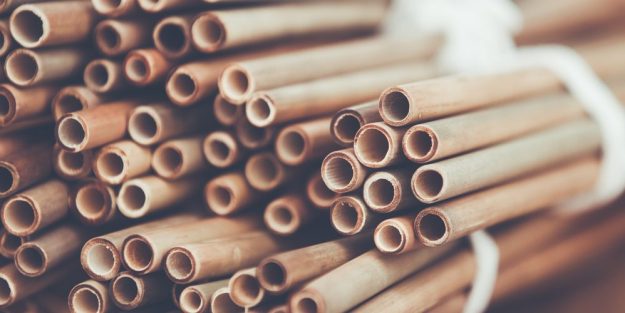 cannucce-compostabili-1000×500